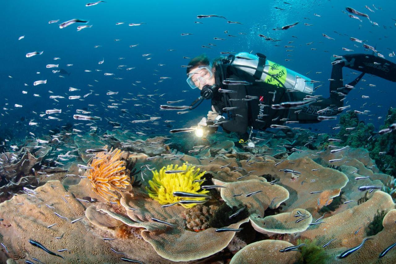 Metita Beach & Dive Resort Daruba Buitenkant foto