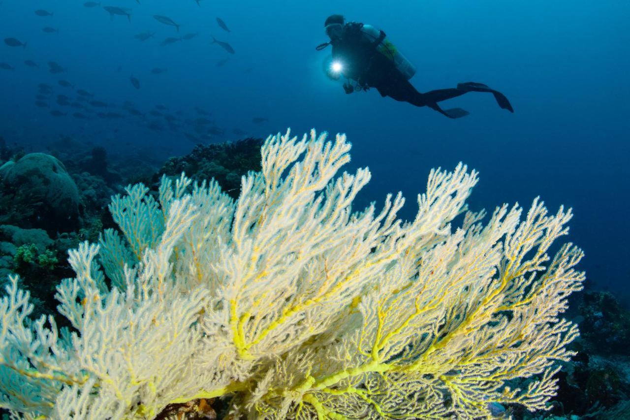 Metita Beach & Dive Resort Daruba Buitenkant foto