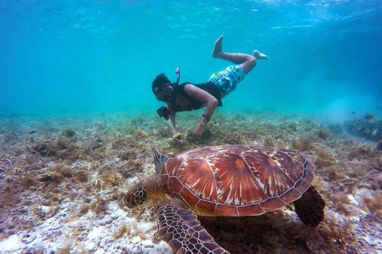Metita Beach & Dive Resort Daruba Buitenkant foto